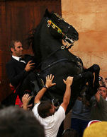 Ippica ed equitazione